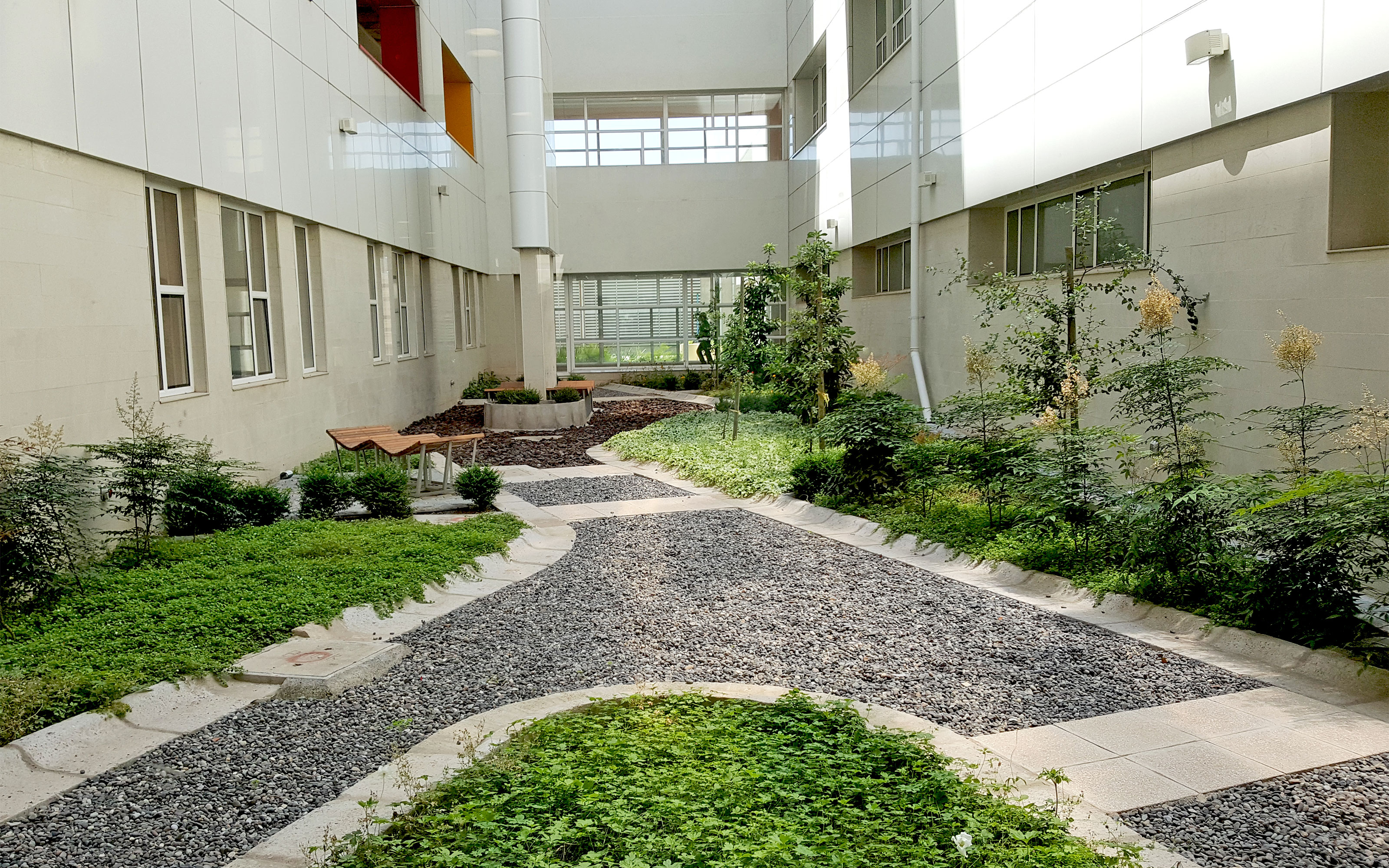 Greenery is prevalent throughout the hospital. Greened courtyard with benches